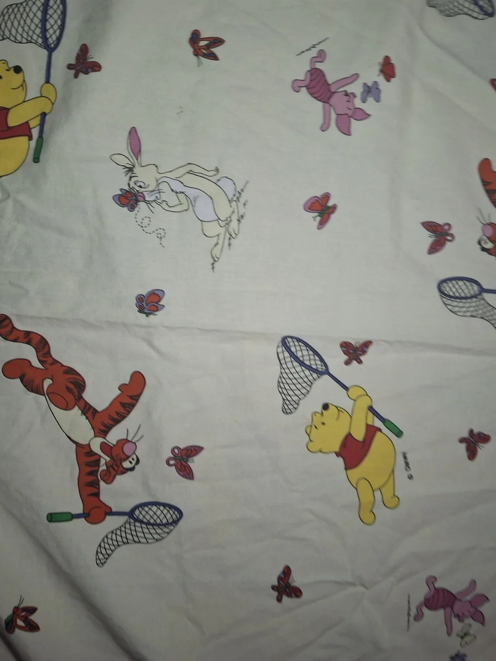 Winnie the Pooh Character Print Flat Sheet - Multi Color